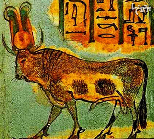 10 حیوان مقدسی که در طول تاریخ پرستش شده اند 10 حیوان مقدسی که در طول تاریخ پرستش شده اند