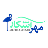 بیماری‌های پنهان اثر گذار بر روی میلیون‌ها زن