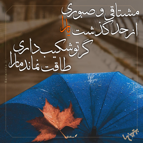 مینی شعر (266) مینی شعر (266)