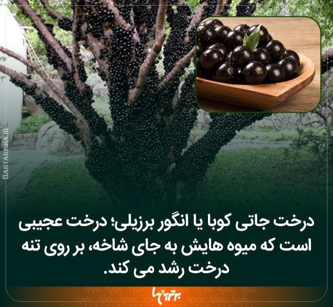 دانستنی‌ های جالب (224)