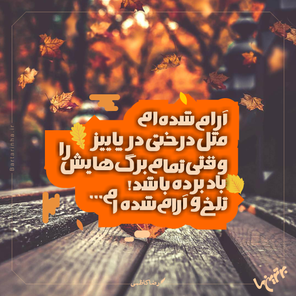 مینی شعر (267) مینی شعر (267)