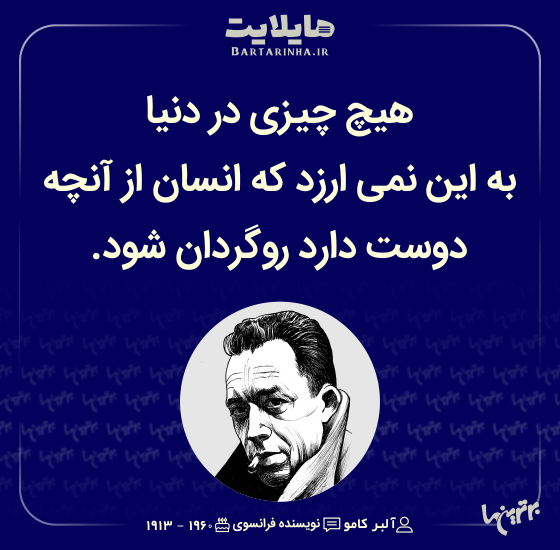 هایلایت (503) هایلایت (503)