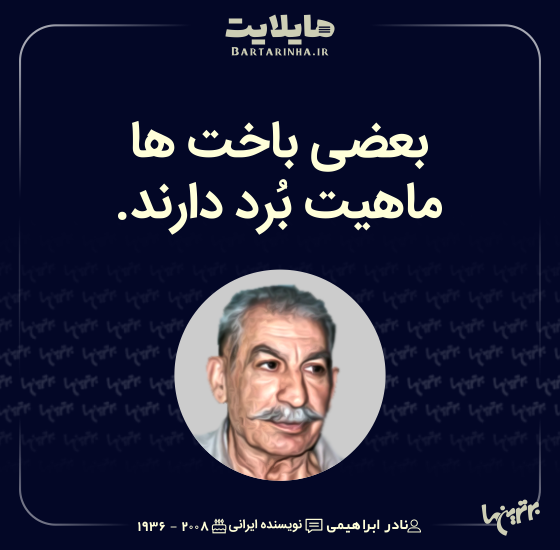 هایلایت (503) هایلایت (503)