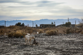 مهاجرت پس از زلزله از شهرهای دیگر به مناطق مختلف این شهر، مشکلاتی از جمله حاشیه‌نشینی گسترده و تقابل‌های فرهنگی را نیز به همراه داشته است.  در رأس این محلات هم محله‌ی «زمین های قشمی» است که کاربری کشاورزی داشته و بعد از زلزله با قیمتی نازل به مهاجران کم‌بضاعت فروخته شده و حالا از تمامی خدمات شهری محروم است. 