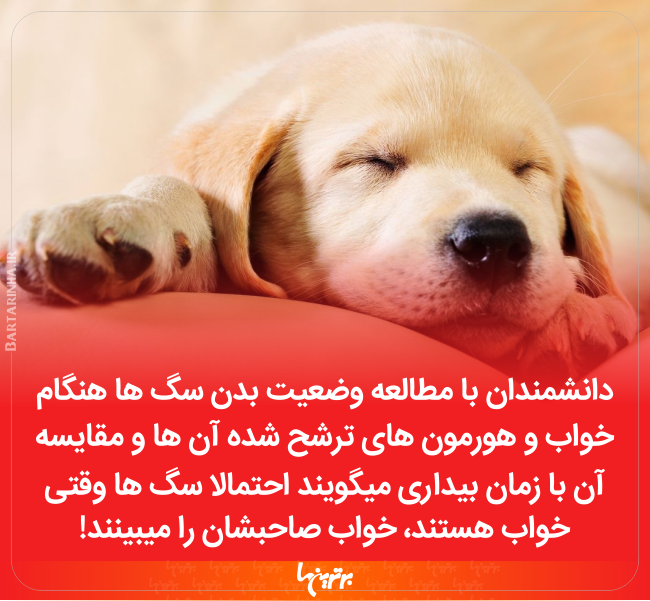 دانستنی های جالب (233) دانستنی های جالب (233)