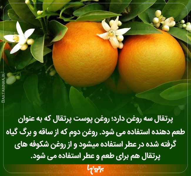 دانستنی های جالب (233) دانستنی های جالب (233)