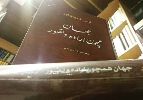 فلسفۀ شوپنهاور در ژرف‌ترین لایه‌اش «مشق مرگ» است