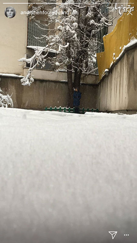 چهره‌ها در شبکه‌های اجتماعی (۶۲۷)