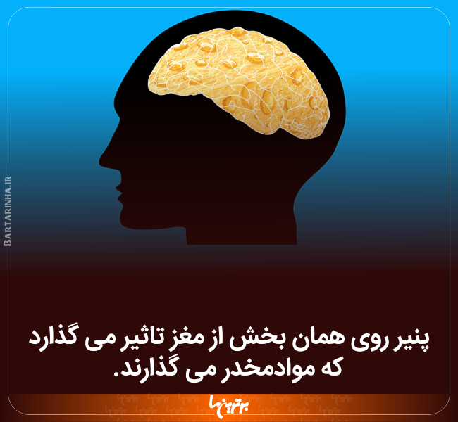 دانستنیهای جالب (۲۴۱) دانستنیهای جالب (۲۴۱)