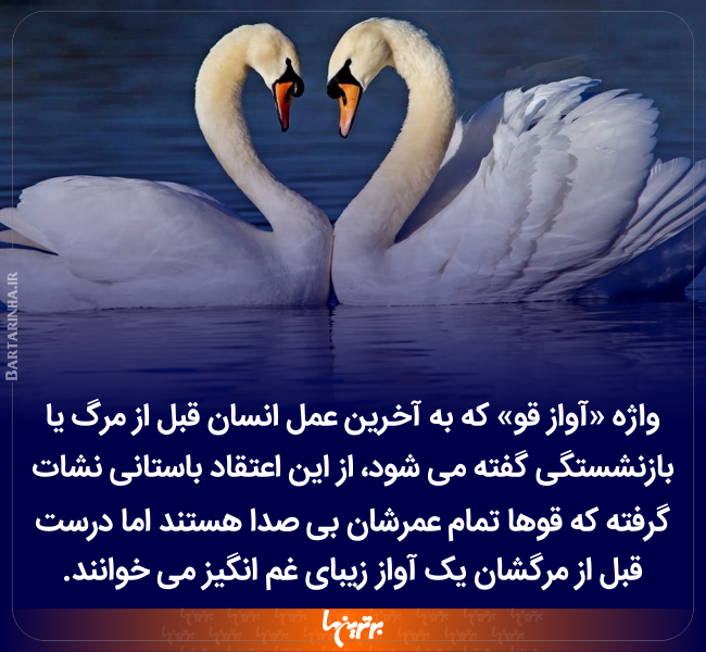 دانستنیهای جالب (۲۴۱) دانستنیهای جالب (۲۴۱)