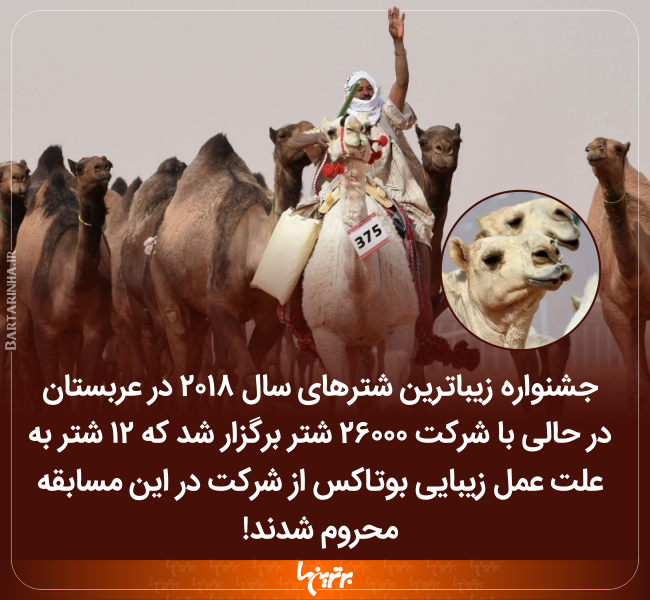 دانستنیهای جالب (۲۴۱) دانستنیهای جالب (۲۴۱)