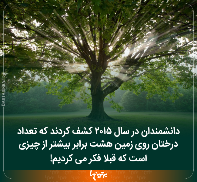 دانستنیهای جالب (۲۴۱) دانستنیهای جالب (۲۴۱)