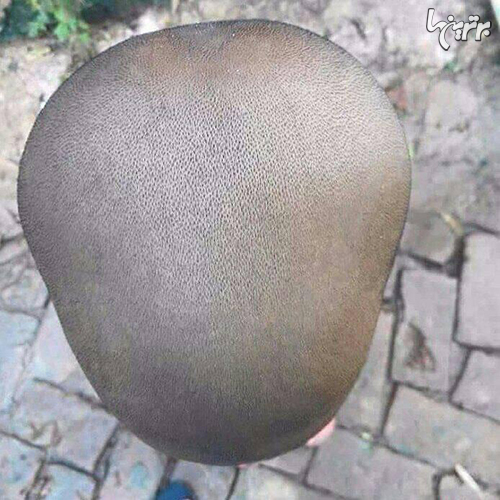 شوخی‌های جالب شبکه‌های اجتماعی (۴۸۴)