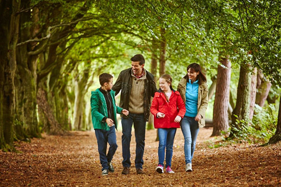برای کار، زندگی نکنید برای کار، زندگی نکنید
