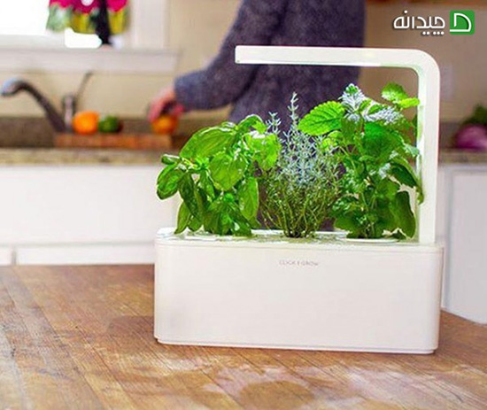 نگهداری گیاهان خانگی در زمستان، چطور تو دامن ننه سرما زنده بمونن؟ نگهداری گیاهان خانگی در زمستان، چطور تو دامن ننه سرما زنده بمونن؟