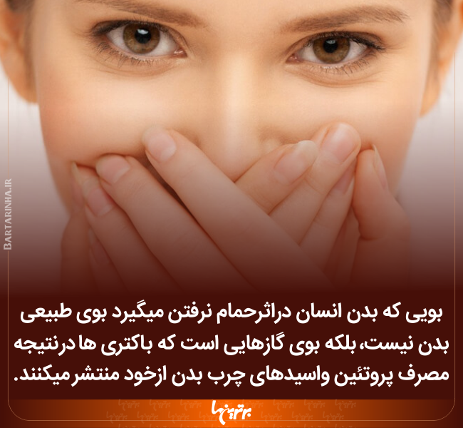 دانستنیهای جالب (۲۴۲) دانستنیهای جالب (۲۴۲)