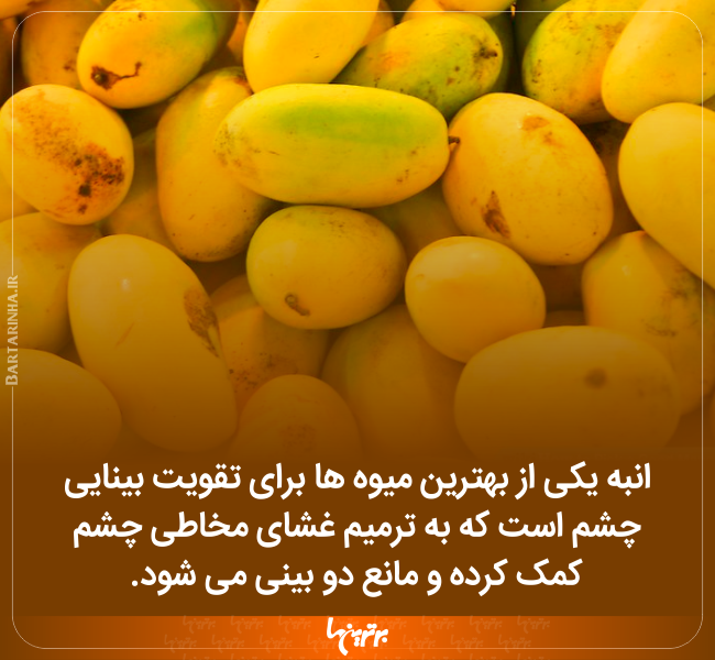دانستنیهای جالب (۲۴۲) دانستنیهای جالب (۲۴۲)