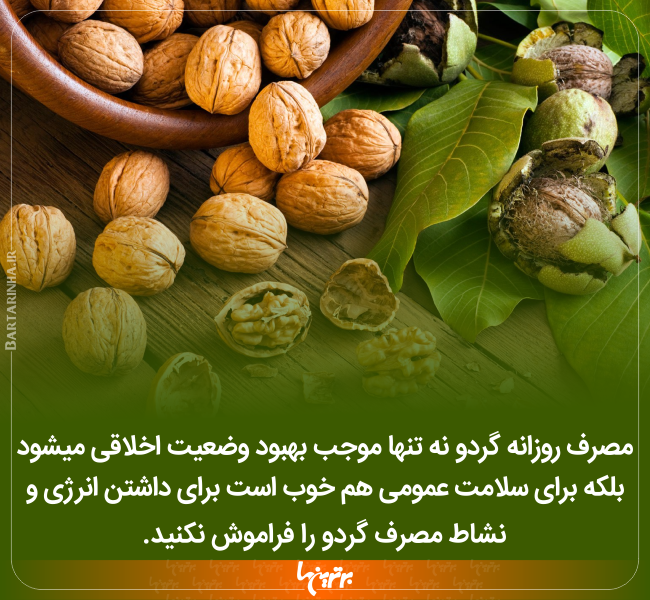 دانستنیهای جالب (۲۴۲) دانستنیهای جالب (۲۴۲)