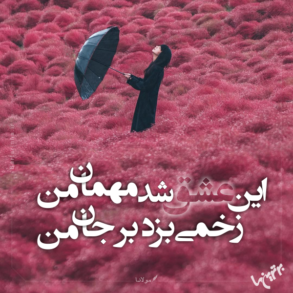 مینی شعر (۴۷۳) مینی شعر (۴۷۳)