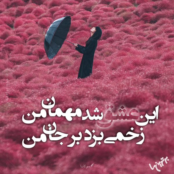 مینی شعر (۴۷۳)