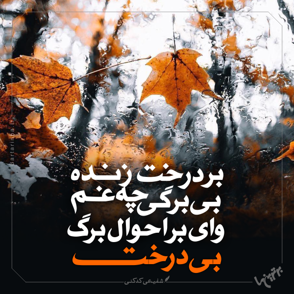 مینی شعر (۴۷۳) مینی شعر (۴۷۳)