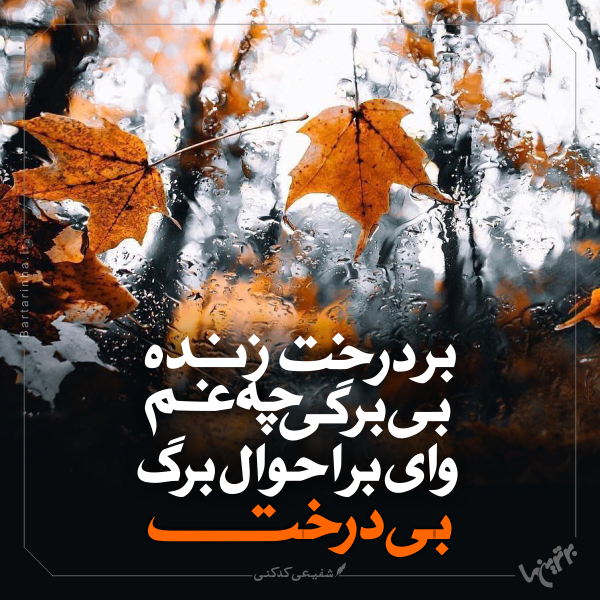 مینی شعر (۴۷۳)