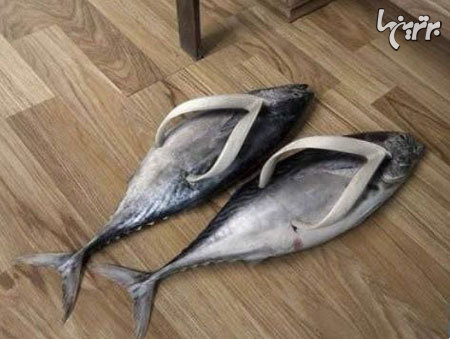 از دیدن این مدهای عجیب و غریب سرگیجه میگیرید از دیدن این مدهای عجیب و غریب سرگیجه میگیرید