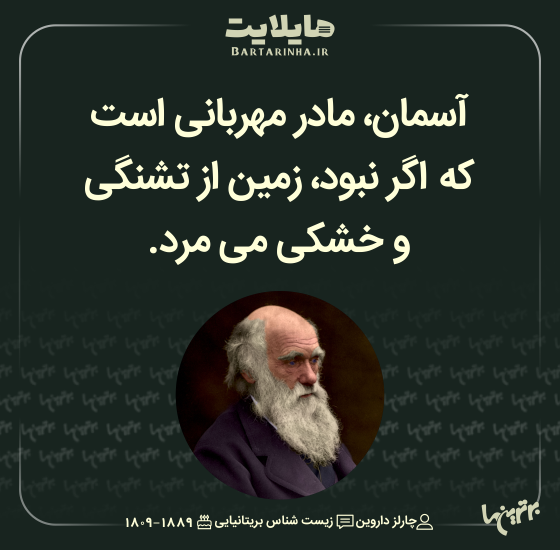 هایلایت (۵۱۲) هایلایت (۵۱۲)