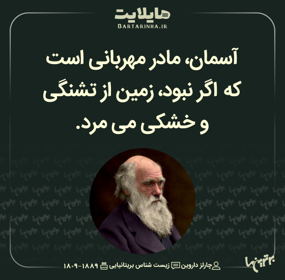 هایلایت (۵۱۲)