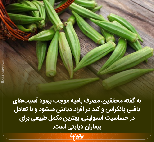 دانستنیهای جالب (۲۴۶) دانستنیهای جالب (۲۴۶)