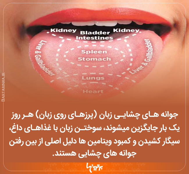 دانستنیهای جالب (۲۴۶) دانستنیهای جالب (۲۴۶)