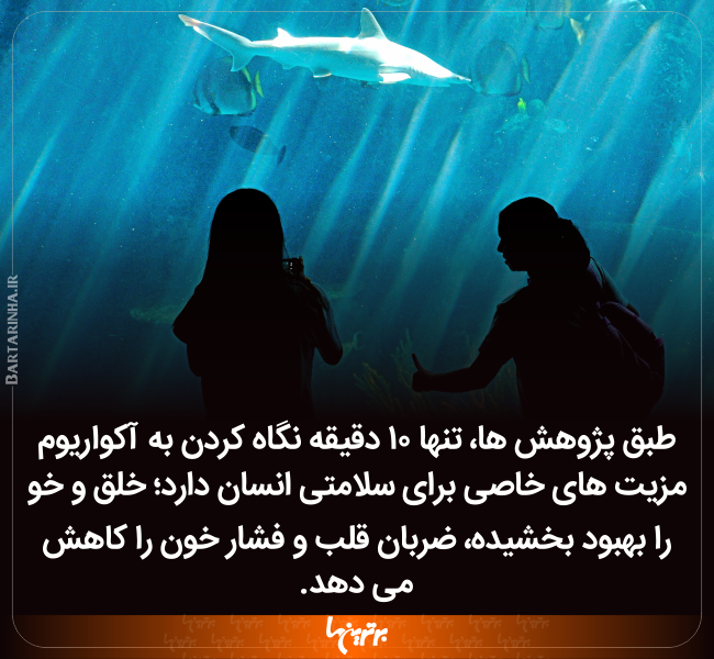 دانستنیهای جالب (۲۴۶) دانستنیهای جالب (۲۴۶)