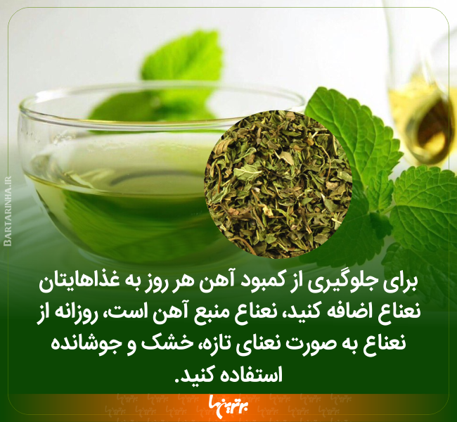 دانستنیهای جالب (۲۴۸) دانستنیهای جالب (۲۴۸)