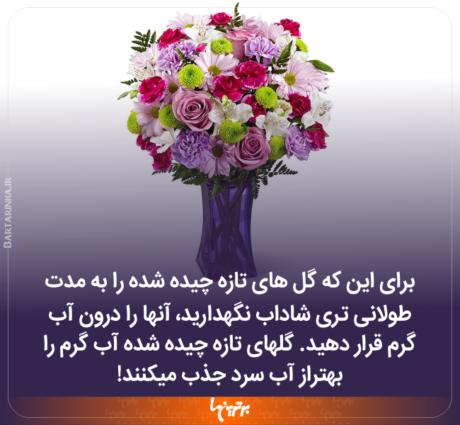 دانستنیهای جالب (۲۴۸) دانستنیهای جالب (۲۴۸)