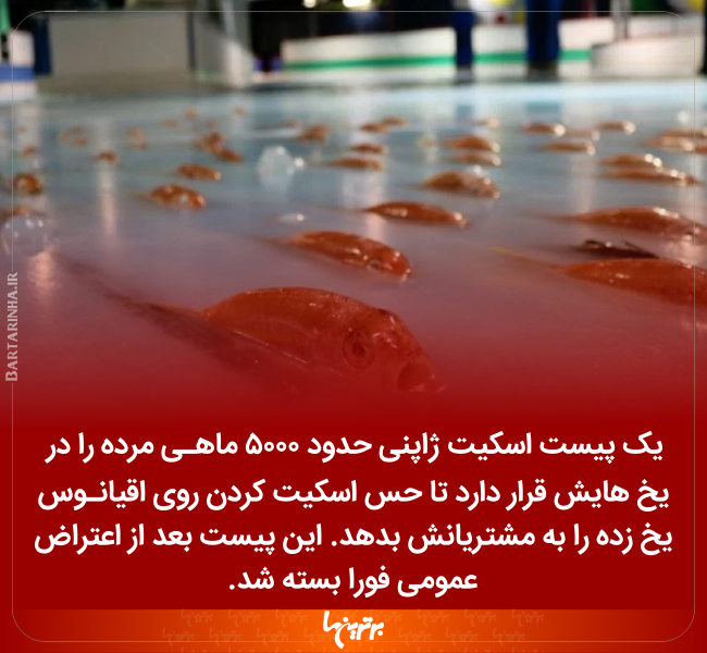 دانستنیهای جالب (۲۴۸) دانستنیهای جالب (۲۴۸)