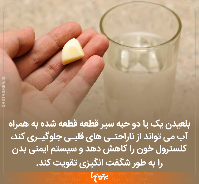 دانستنیهای جالب (۲۴۸) دانستنیهای جالب (۲۴۸)
