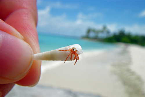 ۸ گوشی عالی بین ۱ تا ۱.۵ میلیون تومان