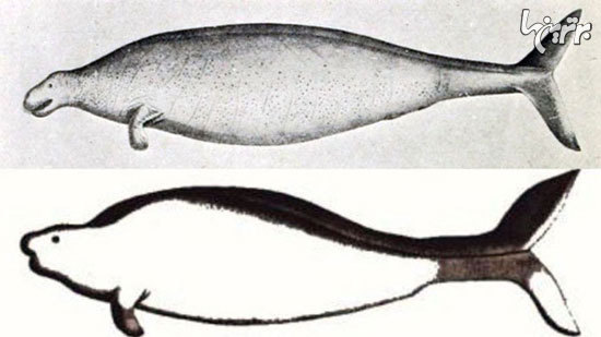 شگفت انگیزترین حیوانات منقرض شده