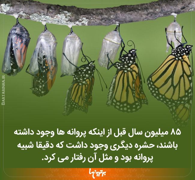 دانستنیهای جالب (۲۵۰) دانستنیهای جالب (2)
