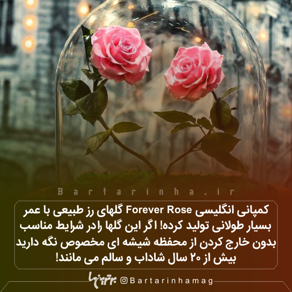 دانستنیهای جالب (۲۶۸) دانستنیهای جالب (۲۶۸)