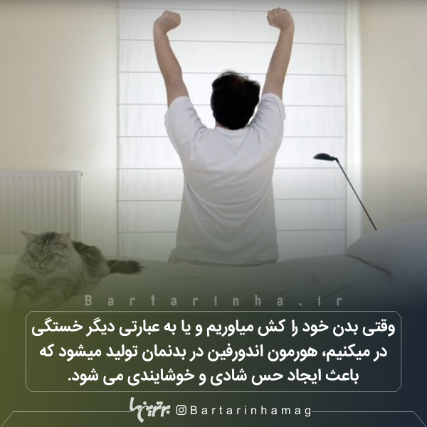 دانستنیهای جالب (۲۶۸) دانستنیهای جالب (۲۶۸)