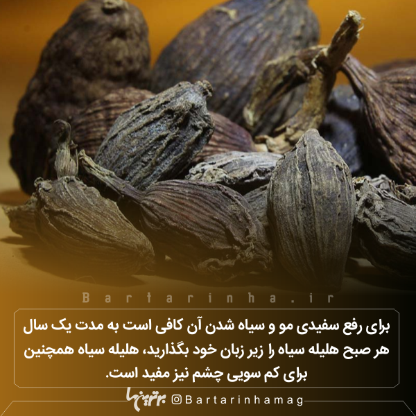 دانستنیهای جالب (۲۶۸) دانستنیهای جالب (۲۶۸)