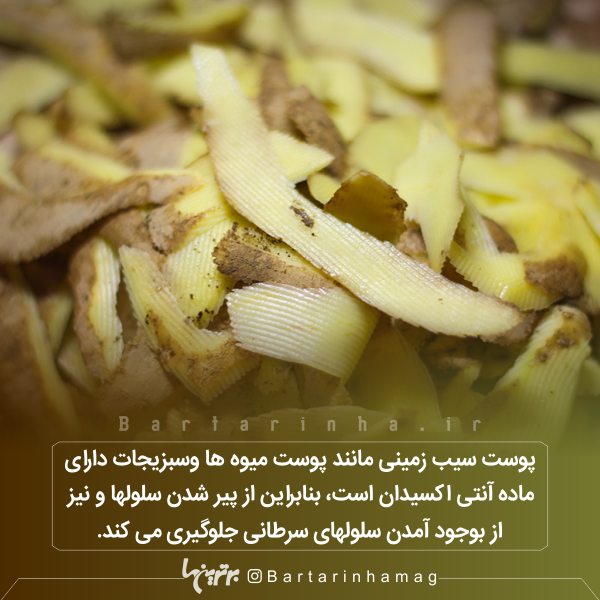 دانستنیهای جالب (۲۶۸) دانستنیهای جالب (۲۶۸)