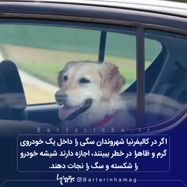 دانستنیهای جالب (۲۶۸) دانستنیهای جالب (۲۶۸)