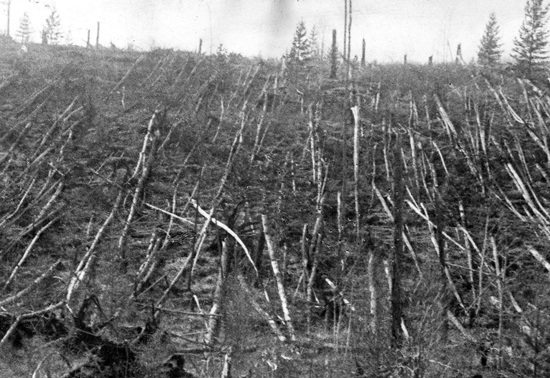 شهاب سنگ هایی که به زمین رسیدند شهاب سنگ هایی که به زمین رسیدند