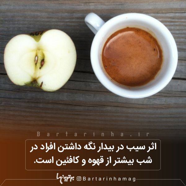 دانستنیهای جالب (۲۷۱) دانستنیهای جالب (۲۷۱)