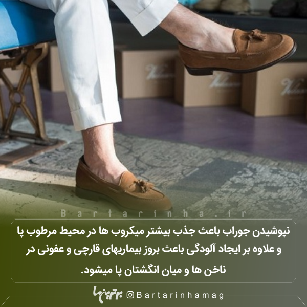 دانستنیهای جالب (۲۷۲) دانستنیهای جالب (۲۷۲)