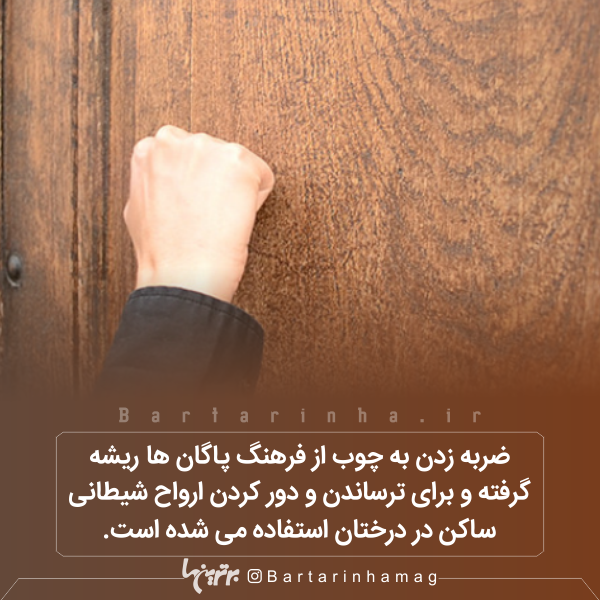 دانستنیهای جالب (۲۷۲) دانستنیهای جالب (۲۷۲)
