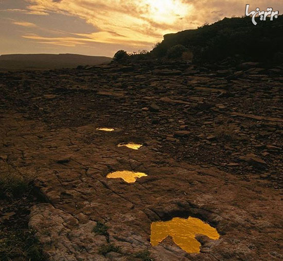 چیز&zwnj;های نادری که یکبار در عمر اتفاق بیفتد