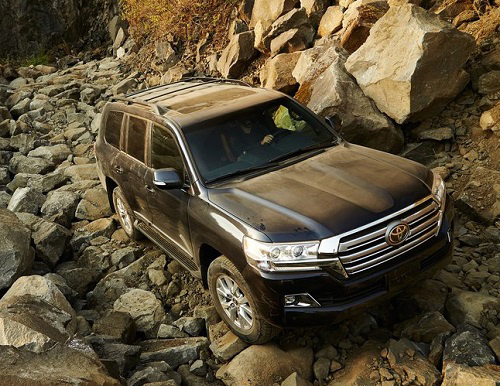 جنگجویان بیابان جنگجویان بیابان